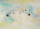 Polar Bears - Don't Leave