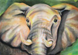 Elephant - Remembering